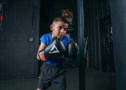 TITLE Classic Boxing Gloves -boxing supplies store CABGBKRD 3