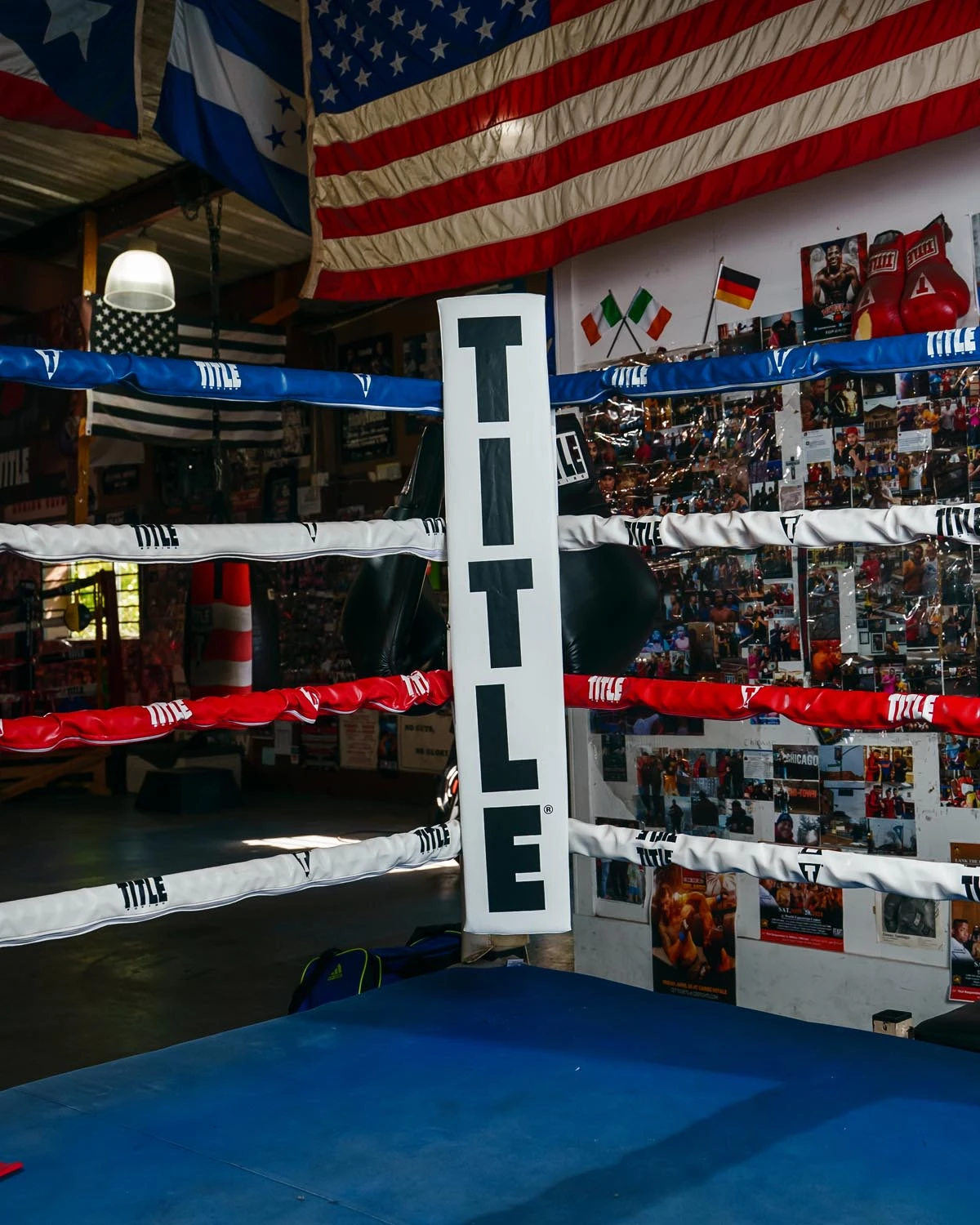 TITLE Boxing Pro Corner Cushions V3.0 – Set Of 4 8 TITLE Boxing Pro Corner Cushions V3.0 – Set Of 4 - Image 6