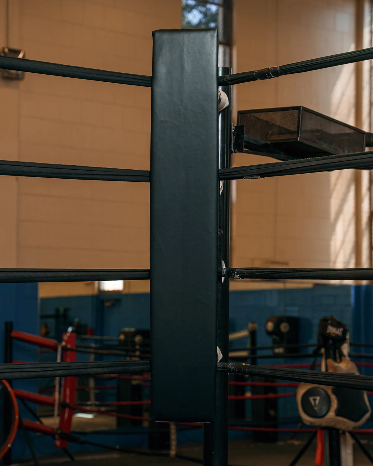 TITLE Boxing Blank Pro Corner Cushion V3.0 - Single 4 TITLE Boxing Blank Pro Corner Cushion V3.0 - Single - Image 2