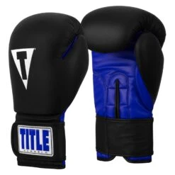 TITLE Classic Fitness Boxing Gloves 28 TITLE Classic Fitness Boxing Gloves -boxing supplies store CRBG BK BL 02