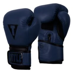 TITLE Boxing Dauntless Training Gloves -boxing supplies store DNTTG BL BK 2
