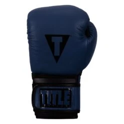 TITLE Boxing Dauntless Training Gloves -boxing supplies store DNTTG BL BK 3