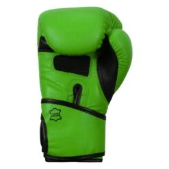TITLE Boxing Dauntless Training Gloves -boxing supplies store DNTTG GN BK 4