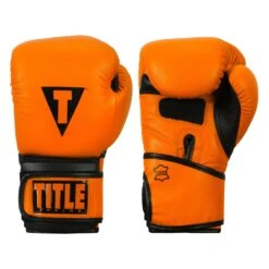 TITLE Boxing Dauntless Training Gloves -boxing supplies store DNTTG OR BK 1