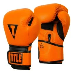 TITLE Boxing Dauntless Training Gloves -boxing supplies store DNTTG OR BK 2
