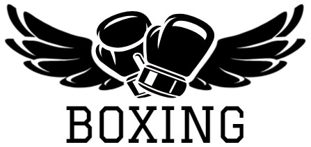boxing supplies store