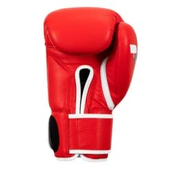 Fighting Fury Professional Training Gloves -boxing supplies store FSFTGE RD 04