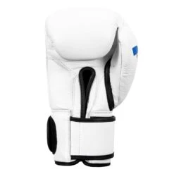 Fighting Fury Professional Training Gloves -boxing supplies store FSFTGE WH 04