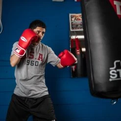 Fighting Fury Professional Training Gloves -boxing supplies store FSFTGERD