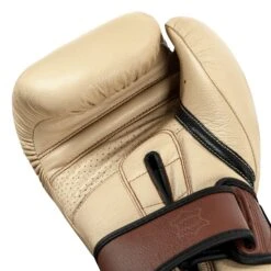 TITLE Boxing Honorary Bag Gloves 33 TITLE Boxing Honorary Bag Gloves -boxing supplies store GOSBG CRL BNL BK 5