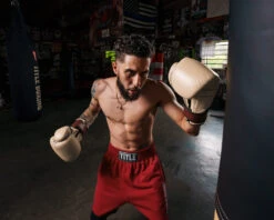 TITLE Boxing Honorary Bag Gloves 35 TITLE Boxing Honorary Bag Gloves -boxing supplies store GOSBGTNMR 1