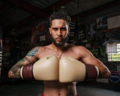 TITLE Boxing Honorary Bag Gloves 29 TITLE Boxing Honorary Bag Gloves -boxing supplies store GOSBGTNMR 2