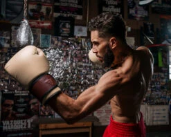 TITLE Boxing Honorary Bag Gloves 34 TITLE Boxing Honorary Bag Gloves -boxing supplies store GOSBGTNMR 3