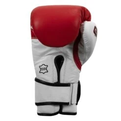 TITLE Boxing Gel World Bag Gloves -boxing supplies store GTWBG RD WH 004