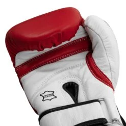 TITLE Boxing Gel World Bag Gloves -boxing supplies store GTWBG RD WH 005