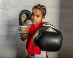 TITLE Boxing Gel World V2T Bag Gloves 40 TITLE Boxing Gel World V2T Bag Gloves -boxing supplies store GTWBGV2T BK GD WH