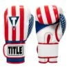 TITLE Boxing Infused Foam Combat USA Training Gloves -boxing supplies store HIFUTG 1