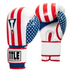 TITLE Boxing Infused Foam Combat USA Training Gloves -boxing supplies store HIFUTG 2