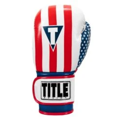 TITLE Boxing Infused Foam Combat USA Training Gloves -boxing supplies store HIFUTG 3
