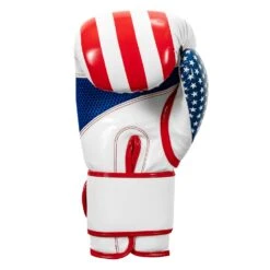 TITLE Boxing Infused Foam Combat USA Training Gloves -boxing supplies store HIFUTG 4