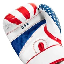 TITLE Boxing Infused Foam Combat USA Training Gloves -boxing supplies store HIFUTG 5