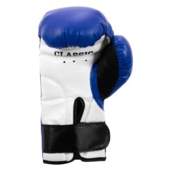 TITLE Classic Kid & Youth Boxing Gloves 2.0 -boxing supplies store KGLV2 BL WH BK 04