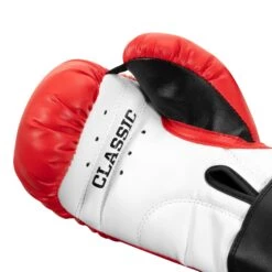 TITLE Classic Kid & Youth Boxing Gloves 2.0 -boxing supplies store KGLV2 RD WH BK 05
