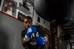 TITLE Boxing Premium Leather Performance Training Gloves -boxing supplies store LPTGBL