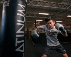 TITLE Platinum Prolific Training Gloves -boxing supplies store PLTGSVBK 1 1