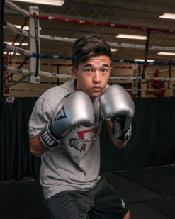 TITLE Platinum Prolific Training Gloves -boxing supplies store PLTGSVBK 1 2