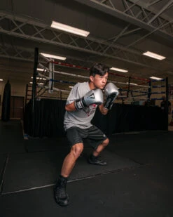 TITLE Platinum Prolific Training Gloves -boxing supplies store PLTGSVBK 1 3