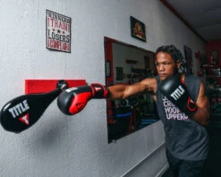 TITLE Boxing Precision Spring-Flex Wall Target -boxing supplies store PSFWTBK 3