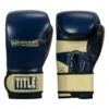 TITLE Boxing Rock Steady Leather Training Gloves -boxing supplies store RSBVLTTG BL TN 1