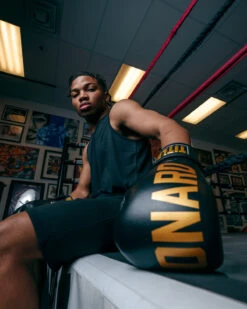 TITLE Boxing Sugar Ray Leonard Leather Bag Gloves -boxing supplies store SRLBG 2 2