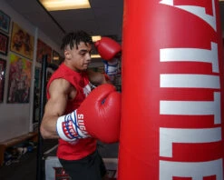 TITLE Boxing Sugar Ray Leonard Signature Leather Sparring Gloves 22 TITLE Boxing Sugar Ray Leonard Signature Leather Sparring Gloves -boxing supplies store SRLSLSG 4 3