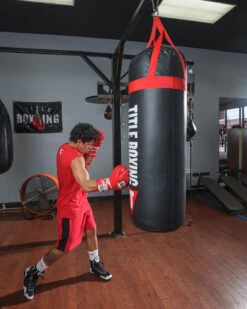 TITLE Boxing Titanic Flex-Strike Heavy Bag -boxing supplies store STRK3