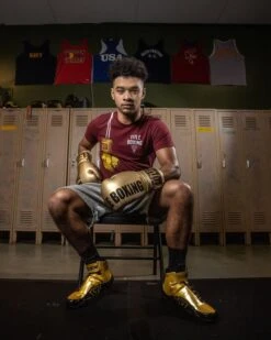 TITLE Boxing Ring Mamba Shoes -boxing supplies store TBS20 GD BK