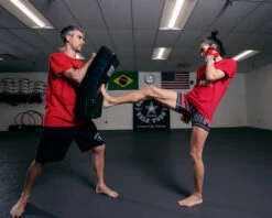 TITLE Boxing Pro Punch Shield 2.0 -boxing supplies store TBSH2BK 2