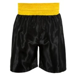 TITLE Boxing Edge Boxing Trunks 2.0 -boxing supplies store TBTC2 BK GD 3