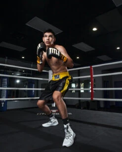 TITLE Boxing Edge Boxing Trunks 2.0 -boxing supplies store TBTC2BKGD