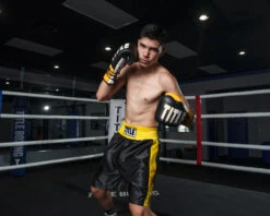 TITLE Boxing Edge Boxing Trunks 2.0 -boxing supplies store TBTC2BKGD2