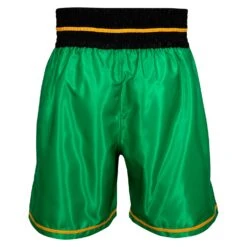 WBC By TITLE Boxing Professional Boxing Trunks 25 WBC By TITLE Boxing Professional Boxing Trunks -boxing supplies store WBCBT GN BK 3