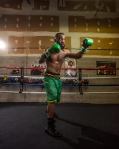 WBC By TITLE Boxing Professional Boxing Trunks 26 WBC By TITLE Boxing Professional Boxing Trunks -boxing supplies store WBCBTGRBK 2