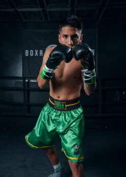 WBC By TITLE Boxing Professional Boxing Trunks 28 WBC By TITLE Boxing Professional Boxing Trunks -boxing supplies store WBCBTGR 3