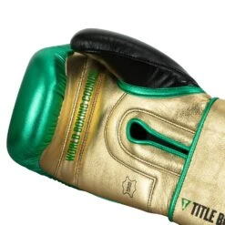 WBC By TITLE Boxing Green Belt Training Gloves 1.0 28 WBC By TITLE Boxing Green Belt Training Gloves 1.0 -boxing supplies store WGBTG GN GD BK 5