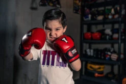 TITLE Boxing Youth Bag Gloves -boxing supplies store YTBBGRD BK