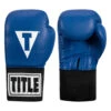 TITLE Boxing USA Boxing Competition Gloves - Elastic -boxing supplies store acges bl 01