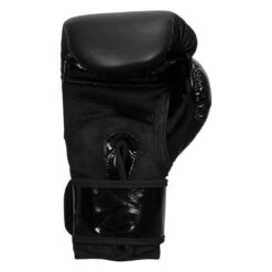 TITLE Black Blitz Sparring Gloves -boxing supplies store bkbbg 0004