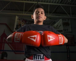 TITLE Classic Super Bag Gloves 2.0 27 TITLE Classic Super Bag Gloves 2.0 -boxing supplies store csbg2 rd