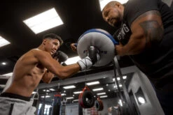 Fighting Sports Leather Punch Shield -boxing supplies store flps2 5